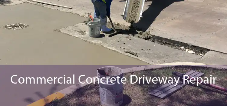 Commercial Concrete Driveway Repair 
