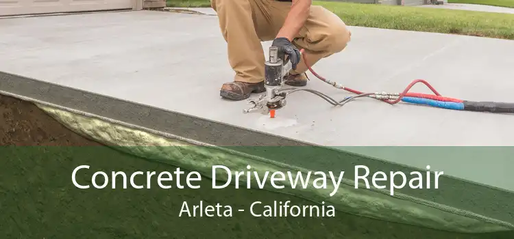 Concrete Driveway Repair Arleta - California
