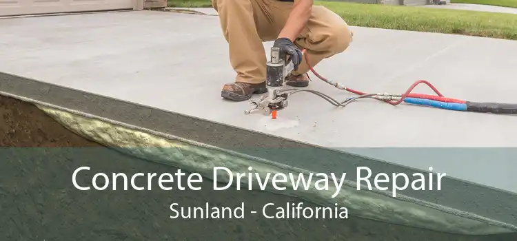 Concrete Driveway Repair Sunland - California