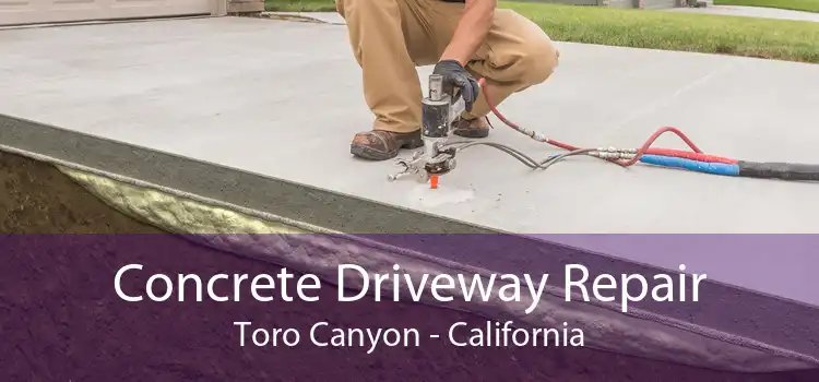 Concrete Driveway Repair Toro Canyon - California