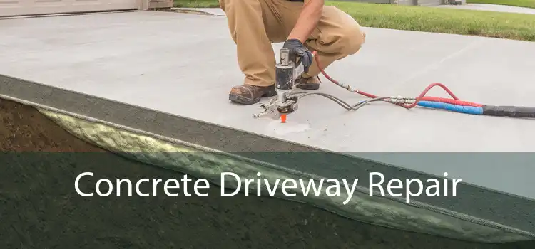 Concrete Driveway Repair 