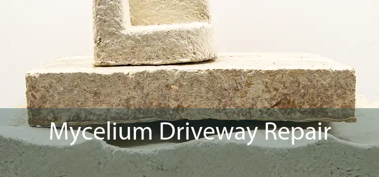 Mycelium Driveway Repair 