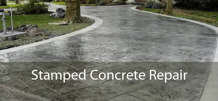 Stamped Concrete Repair 